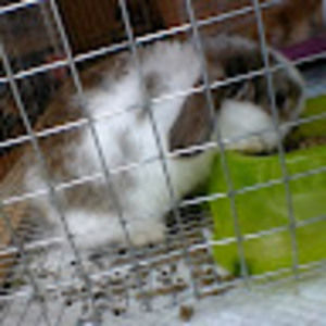 Meet your Posher, Madelynn